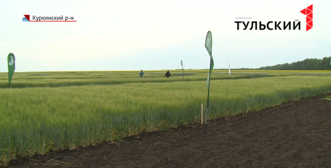 В Куркинском районе агрономы поделились с фермерами секретами больших урожаев  