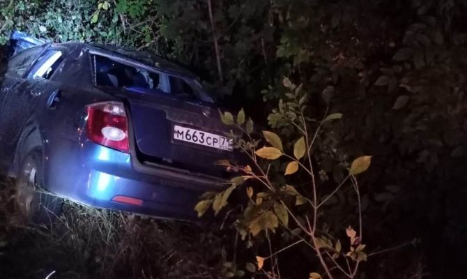 Под Богородицком мужчина погиб после столкновения с лосем