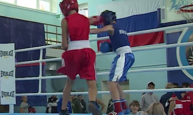 Тульские боксеры завоевали 3 золота в турнире «Гран При Тулы»