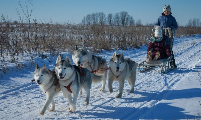 На Куликовом поле пройдет экскурсионная программа «Большой тур»