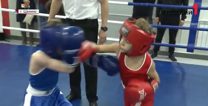 Где в Тульской области воспитывают звезд бокса