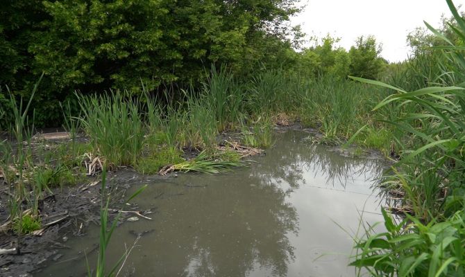 На окраине Кимовска появилось 500-метровое озеро из нечистот