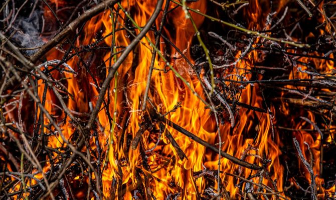 Высокая степень пожарной опасности в Тульской области сохранится до понедельника