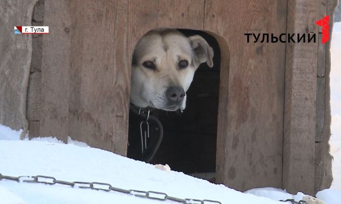 Как тулякам сохранить свое здоровье в холода