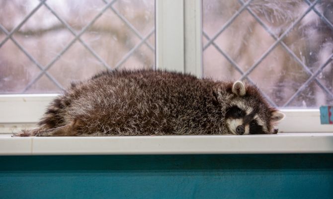 Эксперт рассказал, как россиянам высыпаться осенью