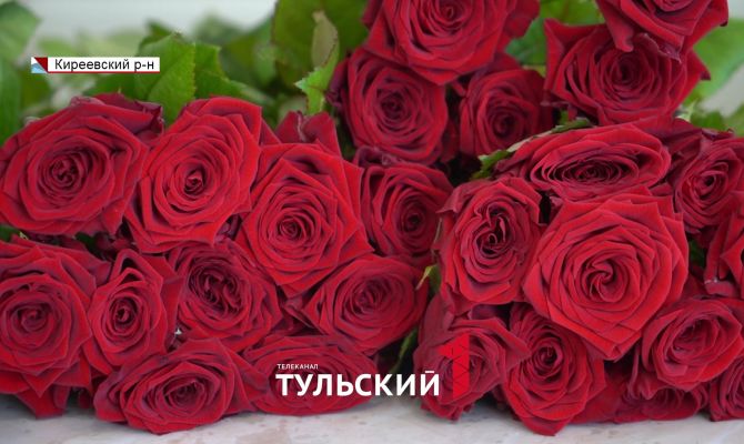 В питомнике под Тулой раскрыли правила выбора роз