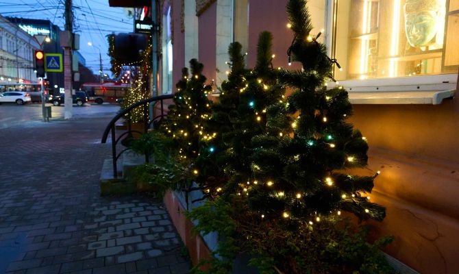 Тулякам напомнили о правилах безопасности при покупке новогодней елки