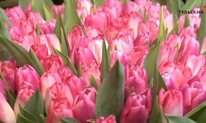    Какие цены выставили флористы накануне 8 марта