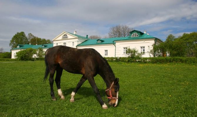 Туляков приглашают на конные экскурсии
