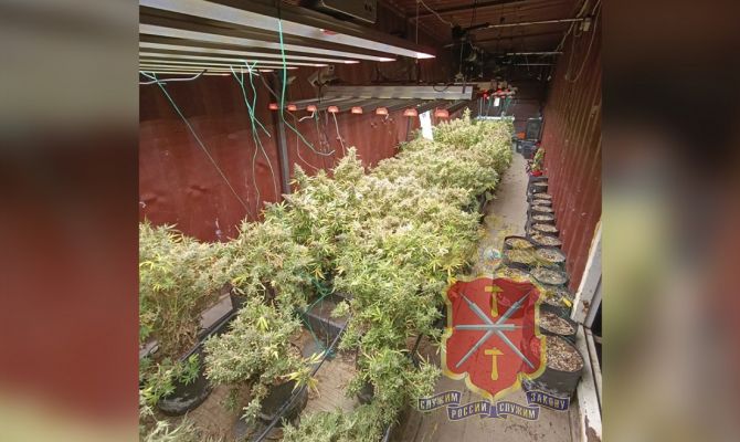 Под Алексином нашли наркопитомник в морском контейнере