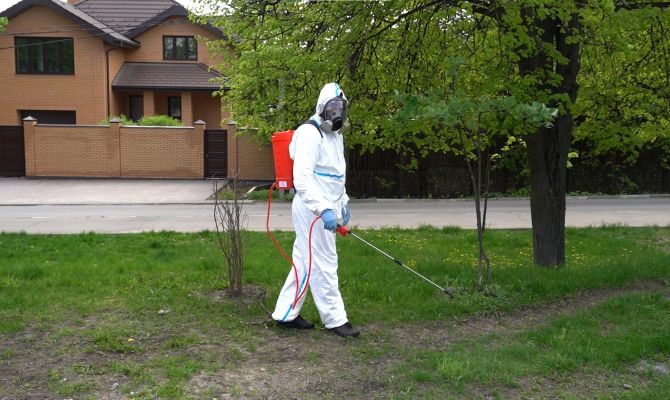 Скверы, кладбища и детские площадки в Туле обработали от клещей