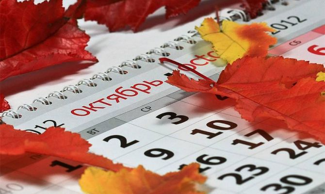 Штрафы, свадьбы, отчеты: что нового ждет россиян в октябре