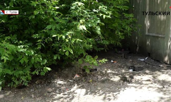 Как тулякам спастись от нашествия крыс