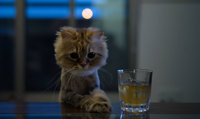 16 января объявлен самым депрессивным днем 2017 года