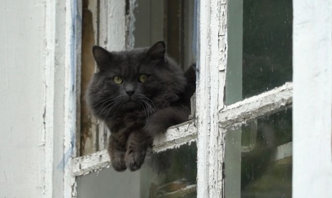 Тула вошла в ТОП рейтинга для отдыха в деревне