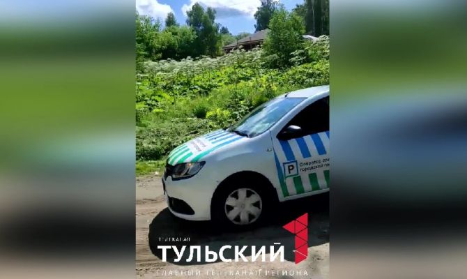 В Тульской области к борьбе с борщевиком подключили искусственный интеллект