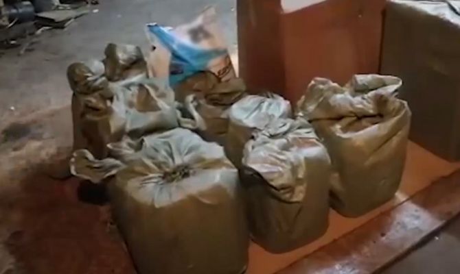 В Туле задержанные за оборот наркотиков супруги отстреливались от полицейских из ракетницы