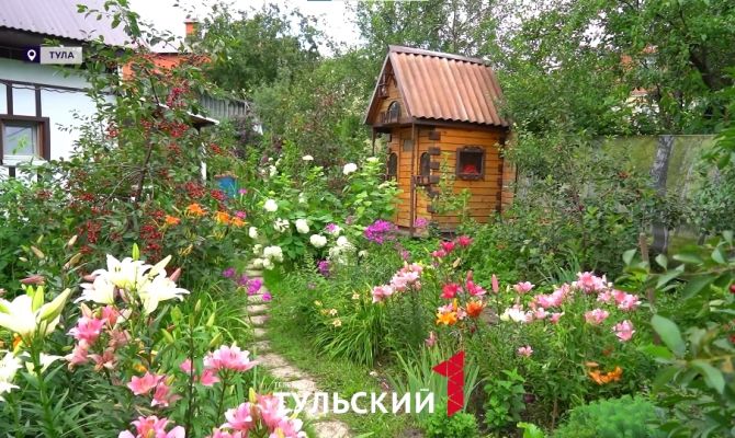 Биолог объяснил появление нитратов в овощах со своего огорода