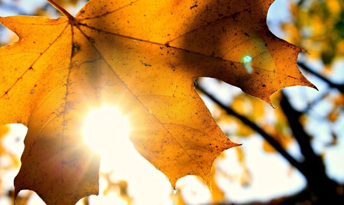 Синоптики рассказали, какой сентябрь ждет туляков