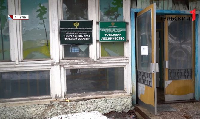 Жесткий отбор: как в Тульской области проверяют семена для восстановления лесов