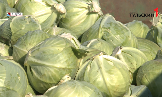 В Тульской области прогнозируют рост цен на продукты