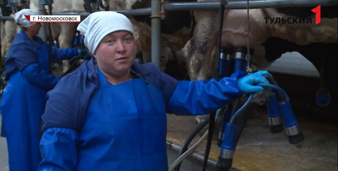 Доярка из Тульской области стремится стать лучшей в России