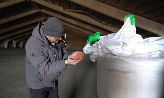 Когда в Тульской области стартует посевная кампания