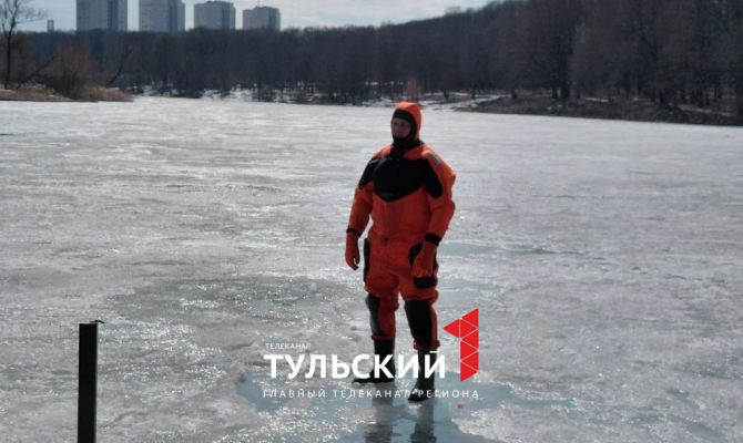 Как спасти провалившегося под лед питомца: инструкция от МЧС