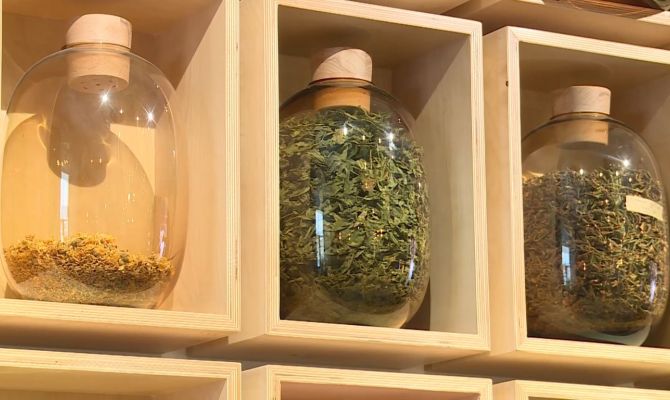 Липовый, мятный, улун и пуэр: 15 декабря в Туле отмечают Международный День чая