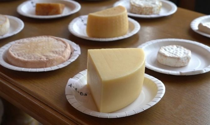 В Тульской области стали производить больше сыра