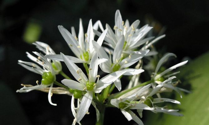 Туляков приглашают на фотовыставку «Моя ПреКрасная книга»