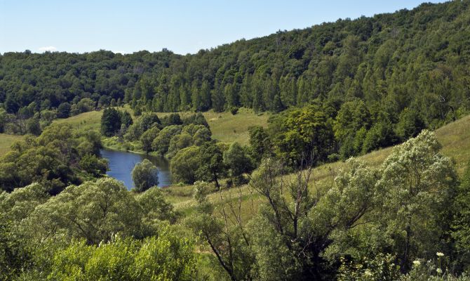 Тулякам расскажут, что такое лес