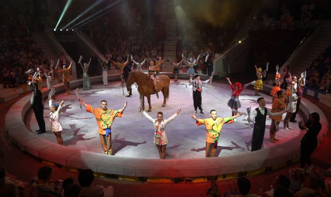 В Тулу приехала «Дикая планета»: в цирке стартовала новая программа