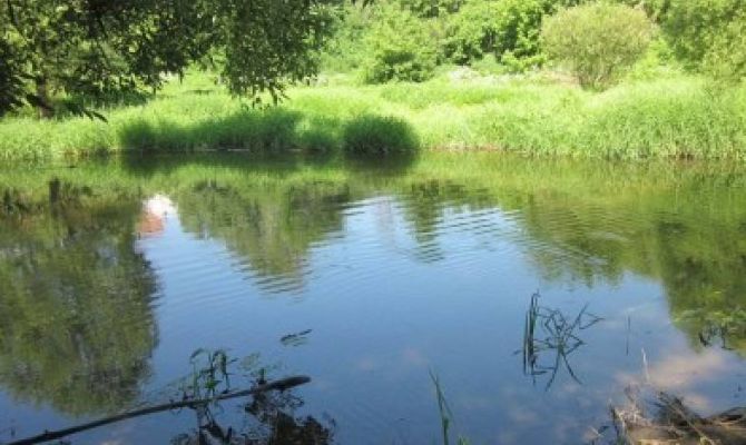 В России стартует акция «Чистые берега» 