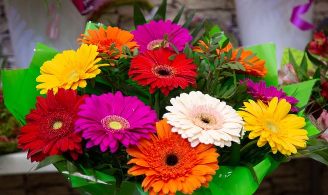 От тюльпанов до эустом: где и за сколько в Туле продают букеты к 8 Марта