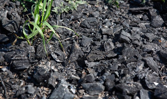 Аномальная жара в Тульской области: как не допустить повторения рязанского сценария