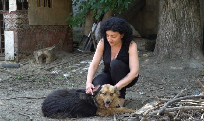 Зоозащитник из Новомосковска рассказала о самых вопиющих случаях жестокости людей