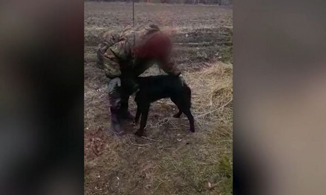 В Дубенском районе Тульской области полиция расследует жестокое убийство собаки