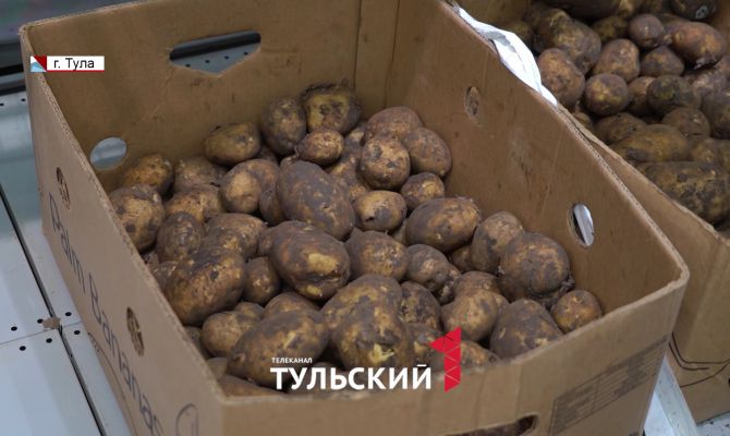 Как поливать картошку в жару: советы опытных аграриев