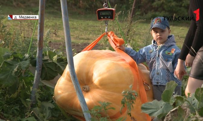 Осталось найти Золушку: жительница Тульской области вырастила на своей грядке гигантскую тыкву