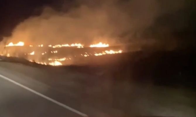Ночью под Ясногорском загорелась трава: видео