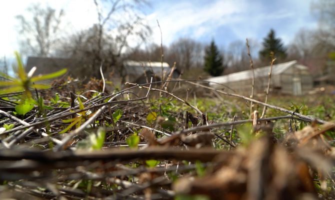  50 000 рублей за шашлыки: тульским дачникам напомнили правила поведения на участках