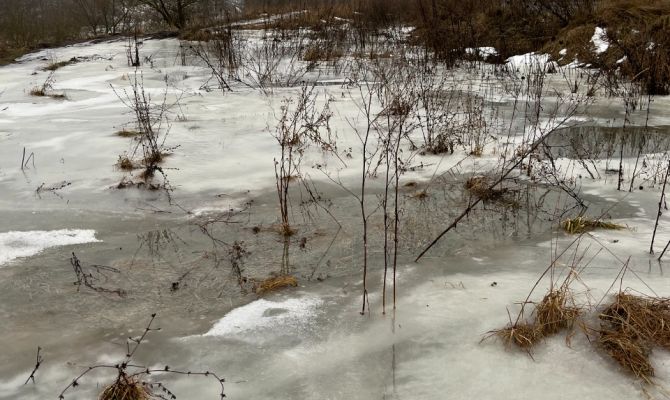 В Белеве сточные воды из канализации стекают в Оку