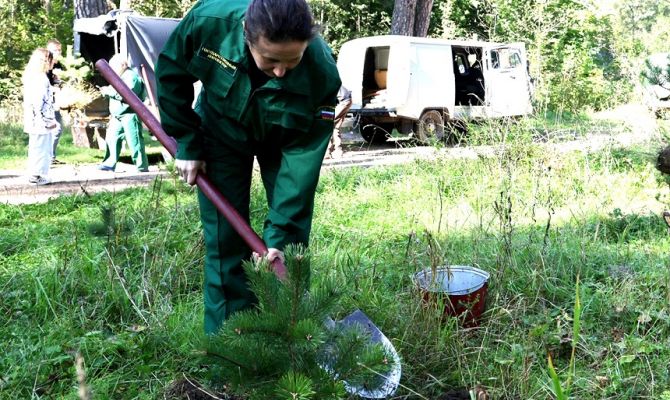 В рамках Нацпроекта «Экология» в Тульской области стартовала акция «Сохраним лес»