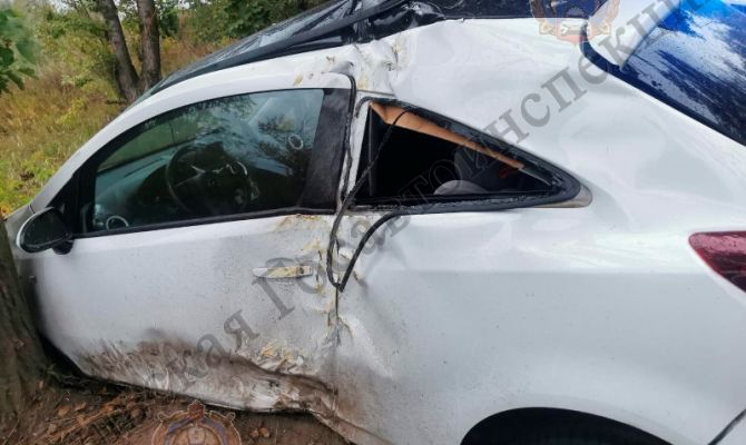 Жительница Алексина на Opel Corsa въехала в дерево