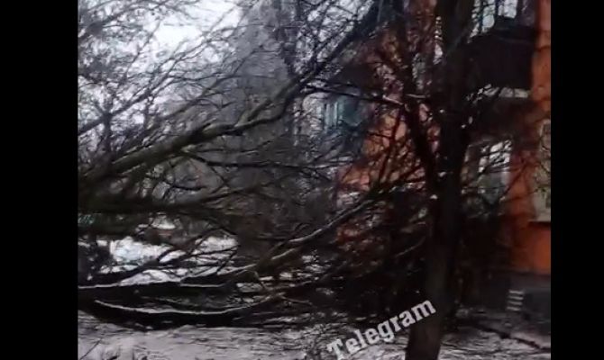 В Туле дерево упало на линию электропередачи и перегородило дорогу