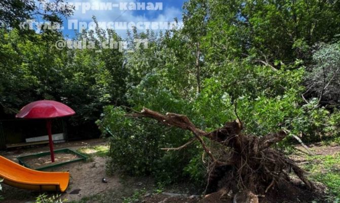 В Туле на улице Галкина дерево упало на детскую площадку