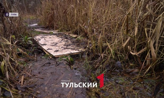 Мазут уже 5 лет течет из-под земли в деревне Комарки под Тулой