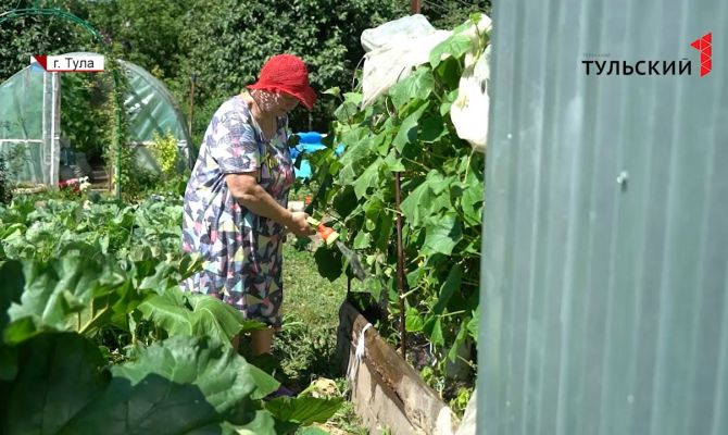 Урожай в Тульской области оказался в опасности из-за аномальной жары