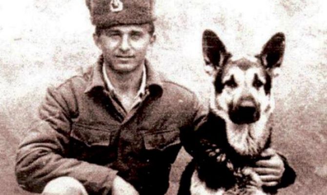 В Туле пройдет выставка «Памяти фронтовой собаки»